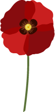 vecteur fleur coquelicot 